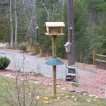 I Took This Picture Of The New Bird Feeder I Put Up. It Has Been Torn Down 4 Times By A Bear And This Last Time The Wind of 40mp