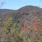 North View From Back Porch. October 2003