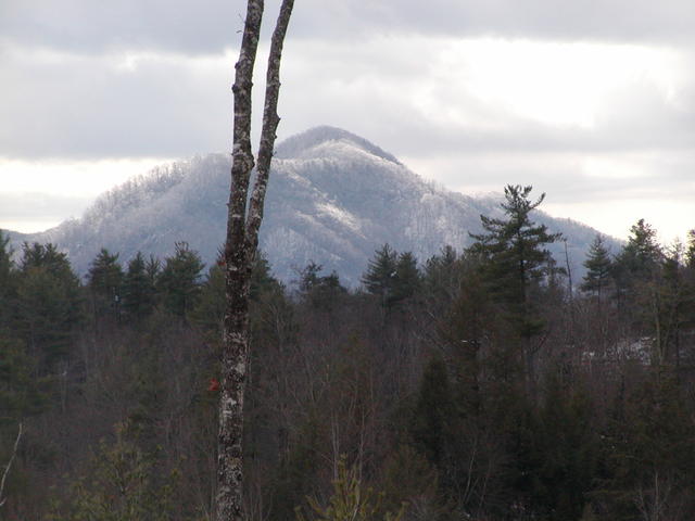 Taken From Front Porch of Cabin On December 8, 2003. Snowed on 12-7-2003