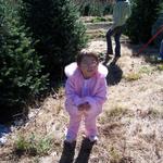 Zoee' Helping Pick Out A Christmas Tree. Check Out The Snow On The Ground. This Is In Banner Elk.