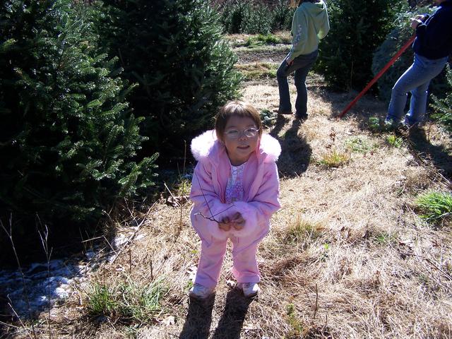 Zoee' Helping Pick Out A Christmas Tree. Check Out The Snow On The Ground. This Is In Banner Elk.