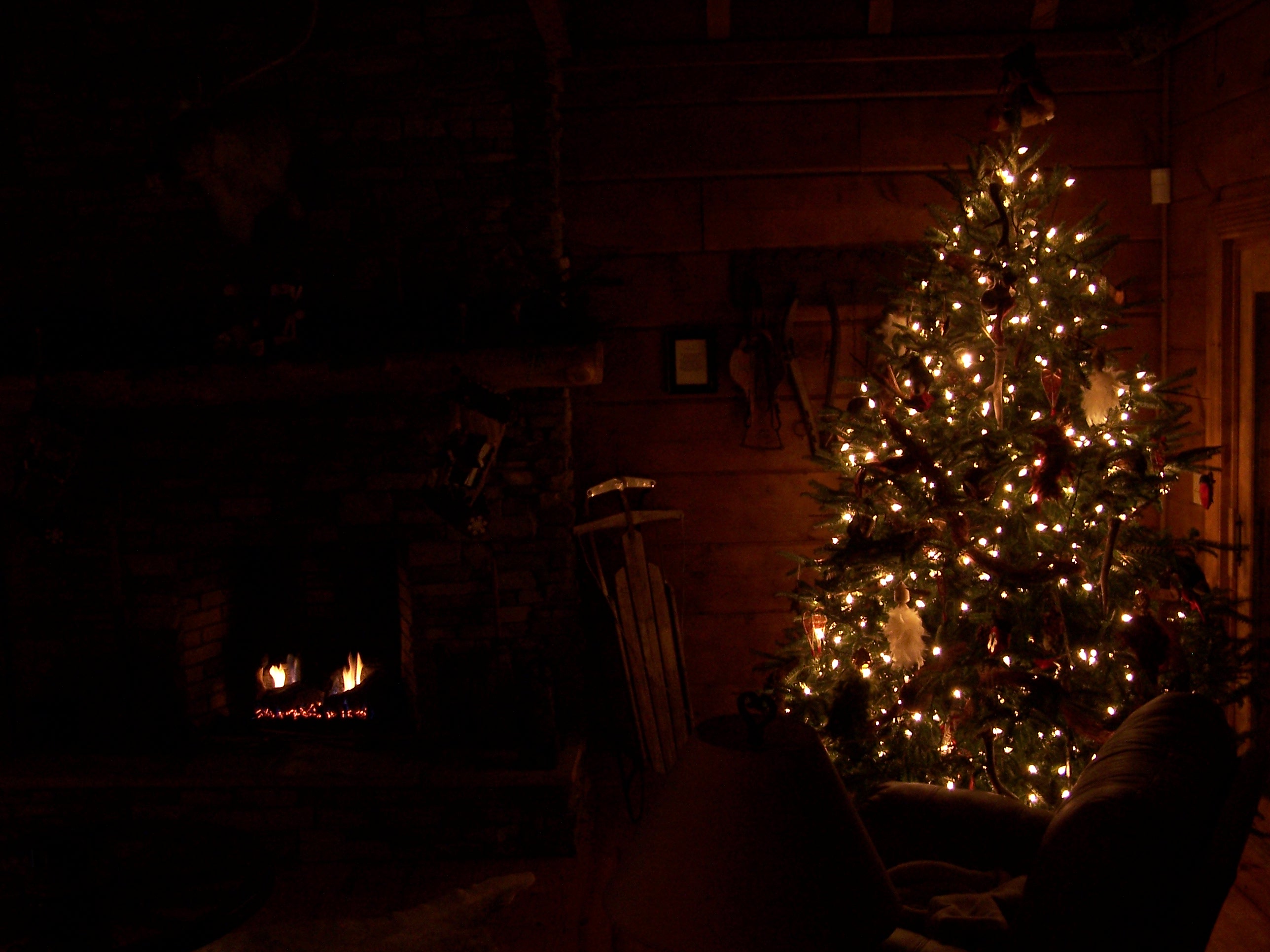 Christmas Tree With Fireplace No Flash On Camera