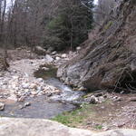 Stream At Linville Caverns