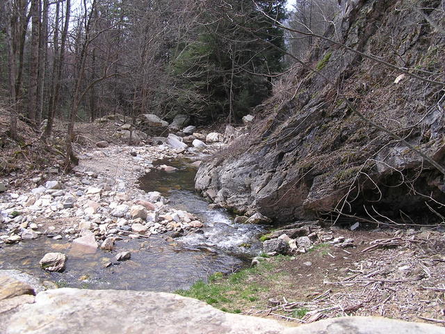 Stream At Linville Caverns