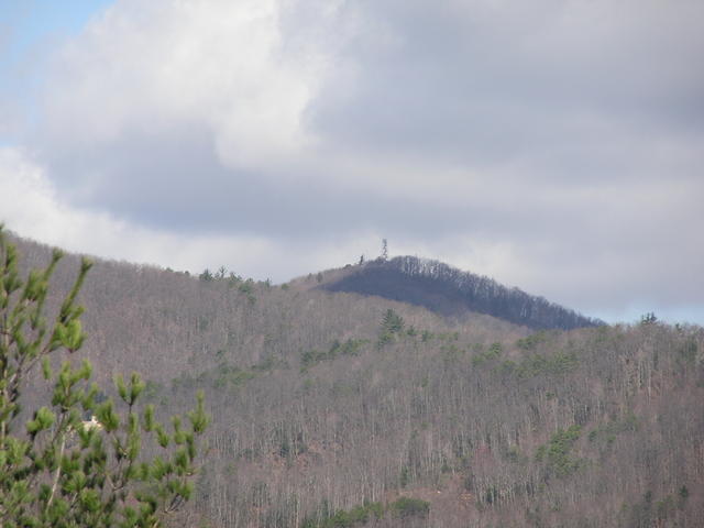 View Of Fire Tower From Cabin