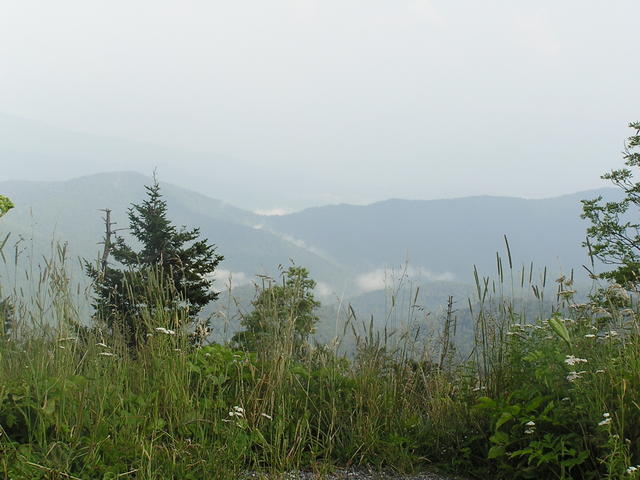 View Of The Great Smokey Mountains Taken From Clingmans Dome.